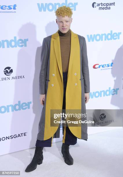 Shaun Ross arrives at the premiere of Lionsgate's "Wonder" at Regency Village Theatre on November 14, 2017 in Westwood, California.
