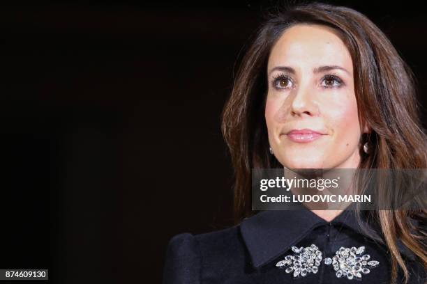 Princess Marie of Denmark poses in front of the BHV Marais in Paris on November 15 as the Princess turned on the Christmas lights at the iconic store...