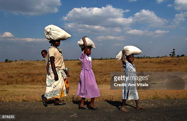 Malawian woman and two young girls carry maize home on their heads from a small farm where they work in exchange for the food June 29, 2002 in the...