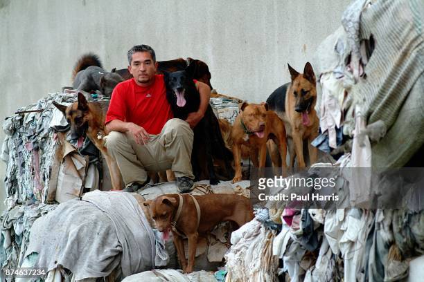 Cesar Millan who owns " The Dog Psychology Center of Los Angeles, undergoing psychological correction in a factory on October 22, 2002 in Los...