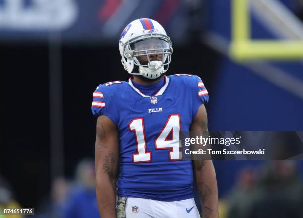 Joe Webb of the Buffalo Bills looks on during NFL game action against the New Orleans Saints at New Era Field on November 12, 2017 in Buffalo, New...