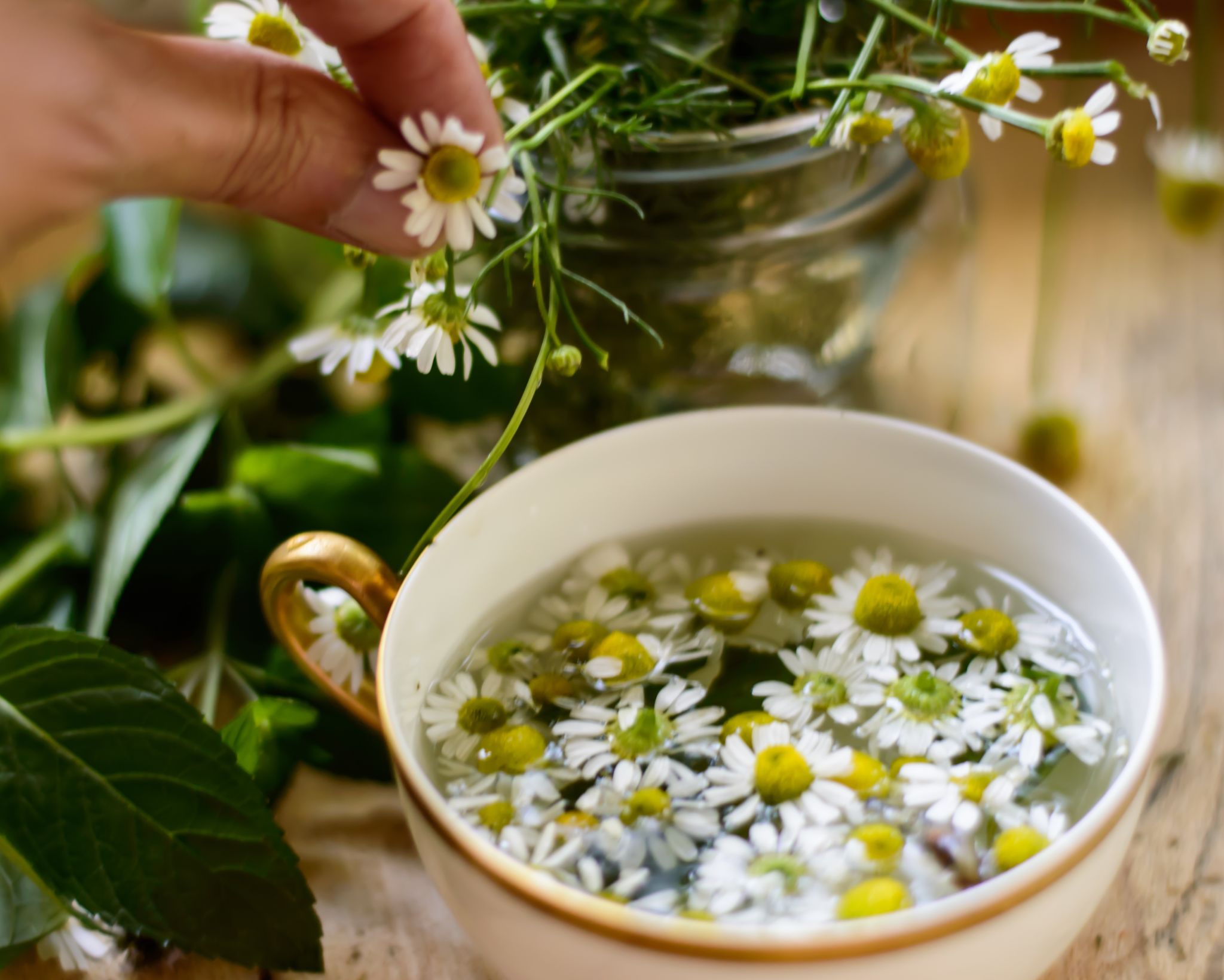 making herbal tea