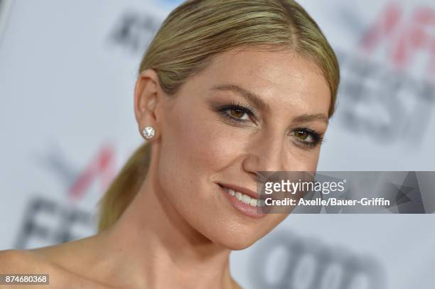 Actress Ari Graynor arrives at the AFI FEST 2017 presented by Audi - screening of 'The Disaster Artist' at TCL Chinese Theatre on November 12, 2017...