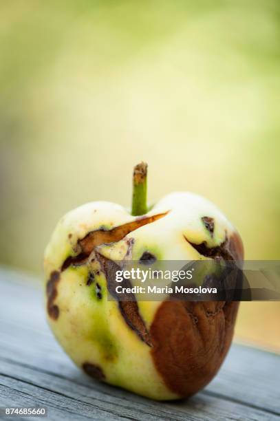 219 Rotten Apple Vs Fresh Stock Photos, High-Res Pictures, and Images ...