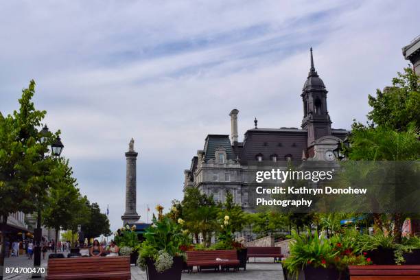 montreal city hall - hotel de ville montreal stock pictures, royalty-free photos & images