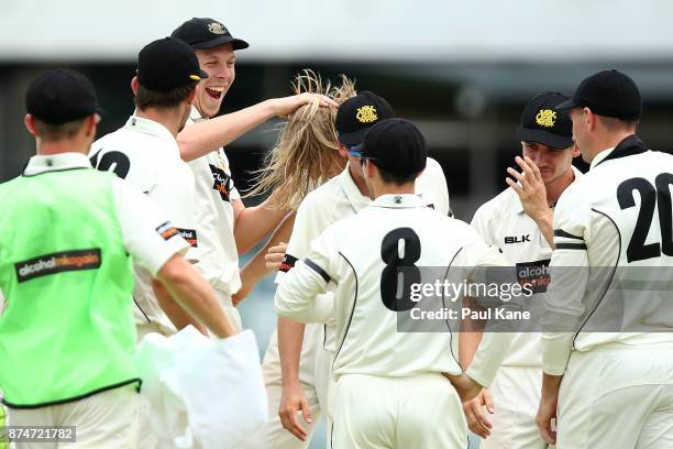 David Moody of Western Australia is congratulated by Simon Mackin after dismissing Joe Mennie of South Australia during day four of the Sheffield...