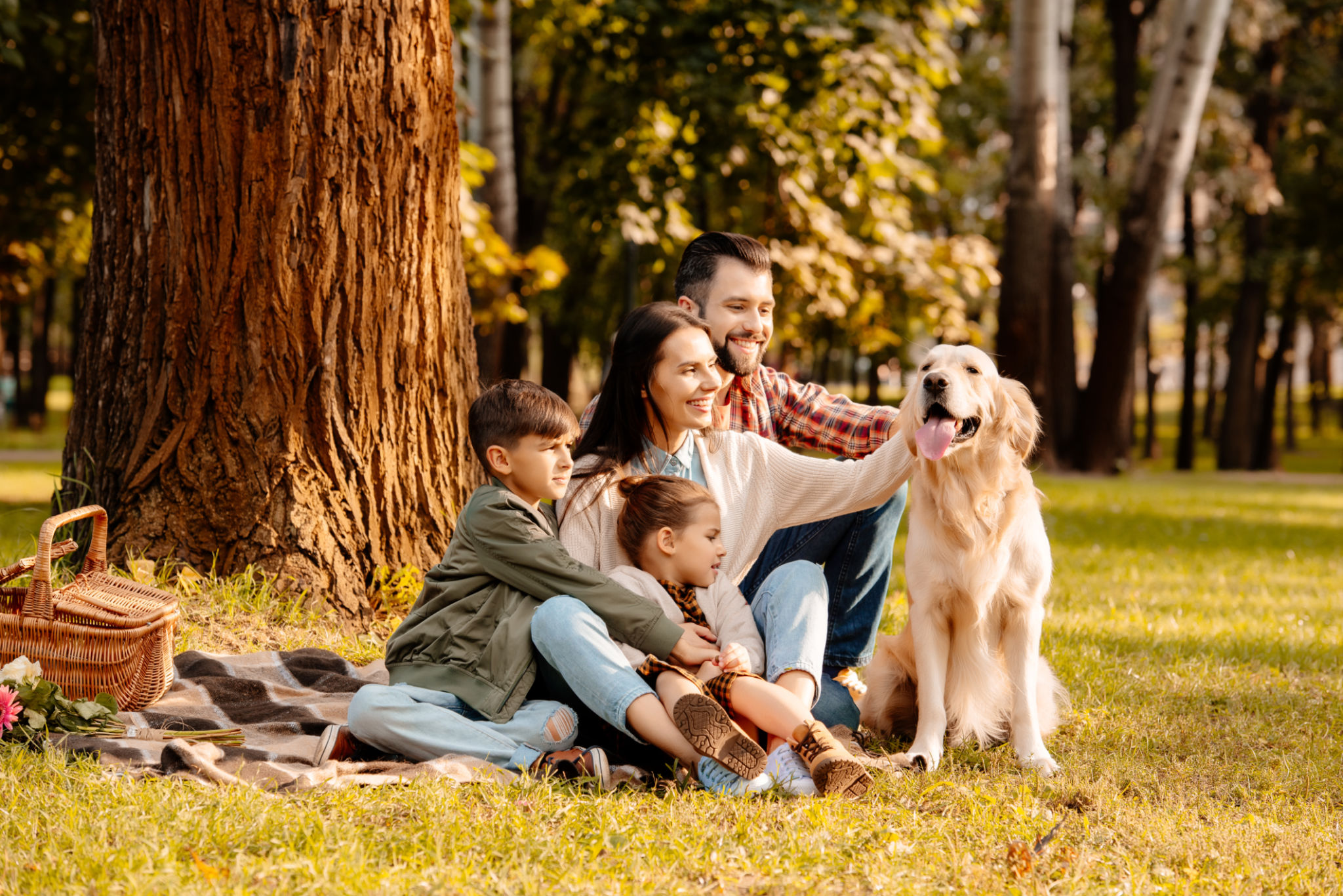 pet picnic