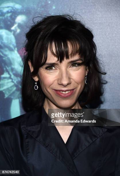 Actress Sally Hawkins arrives at the premiere of Fox Searchlight Pictures' "The Shape Of Water" at the Academy Of Motion Picture Arts And Sciences on...