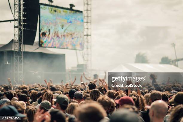 muziek festival menigte - buiten stockfoto's en -beelden