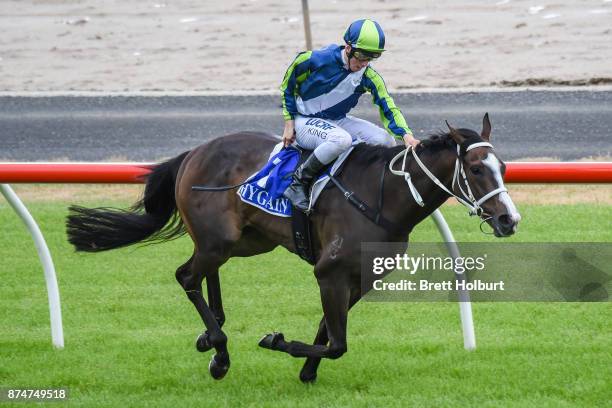 Trembling ridden by Lachlan King wins the Mitchelton Wines Class 1 Handicap at Seymour Racecourse on November 16, 2017 in Seymour, Australia.