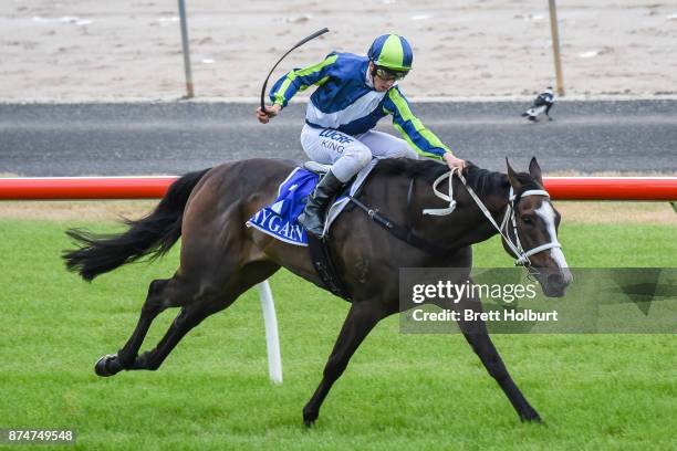 Trembling ridden by Lachlan King wins the Mitchelton Wines Class 1 Handicap at Seymour Racecourse on November 16, 2017 in Seymour, Australia.