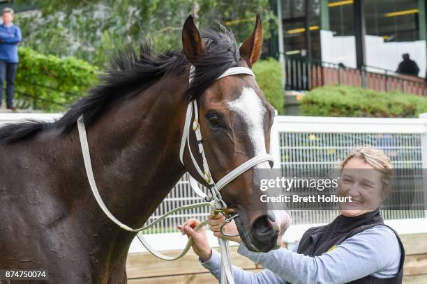 Trembling after winning the Mitchelton Wines Class 1 Handicap at Seymour Racecourse on November 16, 2017 in Seymour, Australia.