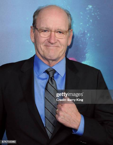 Actor Richard Jenkins attends the premiere of Fox Searchlight Pictures' 'The Shape Of Water' at the Academy Of Motion Picture Arts And Sciences on...