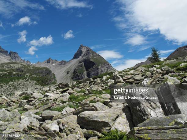 lago bianco (white lake),  alpe veglia natural park - veglia ストックフォトと画像