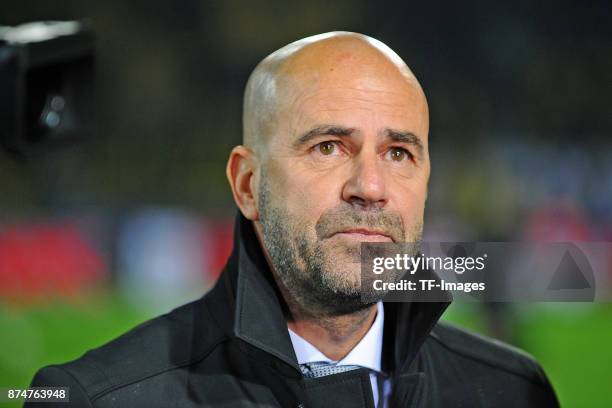 Head coach Peter Bosz of Dortmund looks on during the UEFA Champions League Group H soccer match between Borussia Dortmund and APOEL Nicosia at...