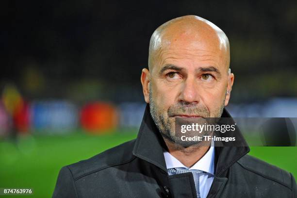 Head coach Peter Bosz of Dortmund looks on during the UEFA Champions League Group H soccer match between Borussia Dortmund and APOEL Nicosia at...