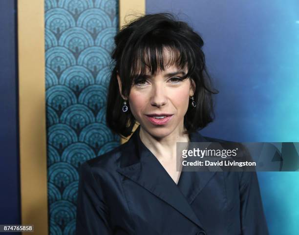 Actress Sally Hawkins attends the premiere of Fox Searchlight Pictures' "The Shape of Water" at the Academy of Motion Picture Arts and Sciences on...