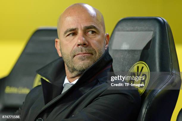 Head coach Peter Bosz of Dortmund looks on during the UEFA Champions League Group H soccer match between Borussia Dortmund and APOEL Nicosia at...