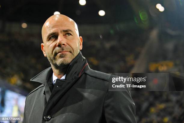 Head coach Peter Bosz of Dortmund looks on during the UEFA Champions League Group H soccer match between Borussia Dortmund and APOEL Nicosia at...