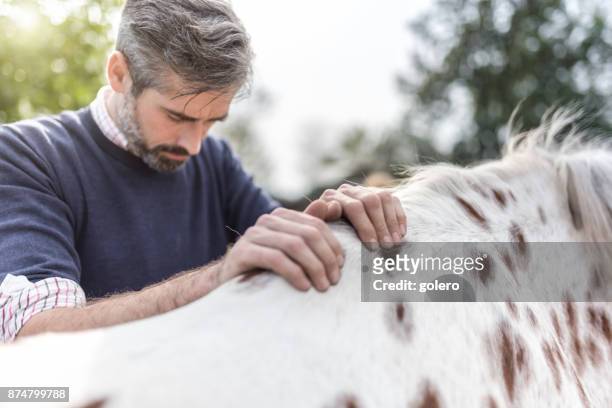 bebaarde dierenarts aangrijpend op achterkant gevlekte paard - hairy back man stockfoto's en -beelden