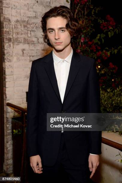 Timothee Chalamet at Moet Celebrates The 75th Anniversary of The Golden Globes Award Season at Catch LA on November 15, 2017 in West Hollywood,...