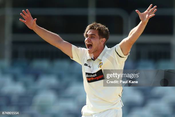 Andrew Holder of Western Australia appeals successfully for the wicket of Callum Ferguson of South Australia during day four of the Sheffield Shield...