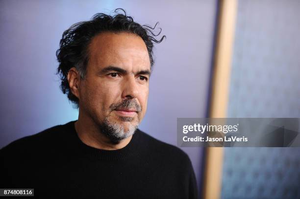 Director Alejandro Gonzalez Inarritu attends the premiere of "The Shape of Water" at the Academy of Motion Picture Arts and Sciences on November 15,...