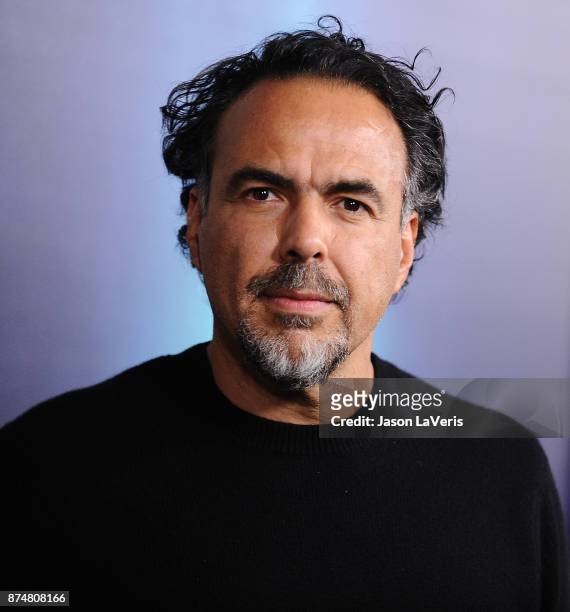 Director Alejandro Gonzalez Inarritu attends the premiere of "The Shape of Water" at the Academy of Motion Picture Arts and Sciences on November 15,...