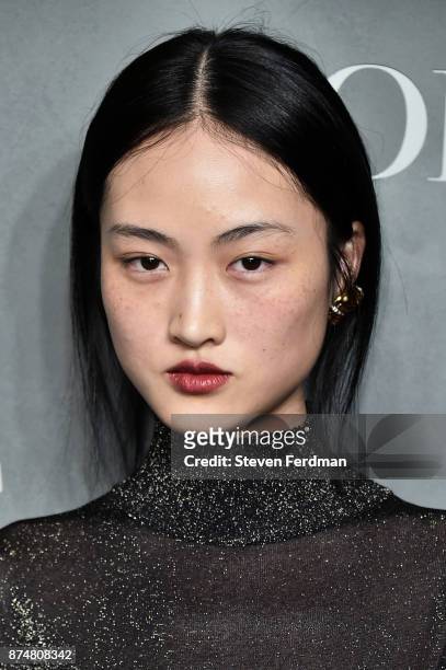 Jing Wen attends the 2017 Guggenheim International Gala Pre-Party made possible by Dior on November 15, 2017 in New York City.