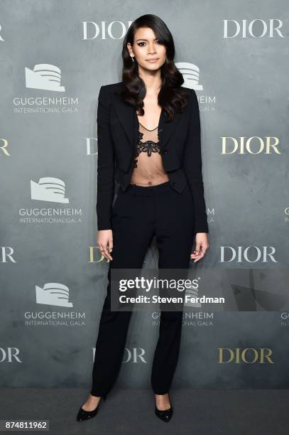 Guest attends the 2017 Guggenheim International Gala Pre-Party made possible by Dior on November 15, 2017 in New York City.