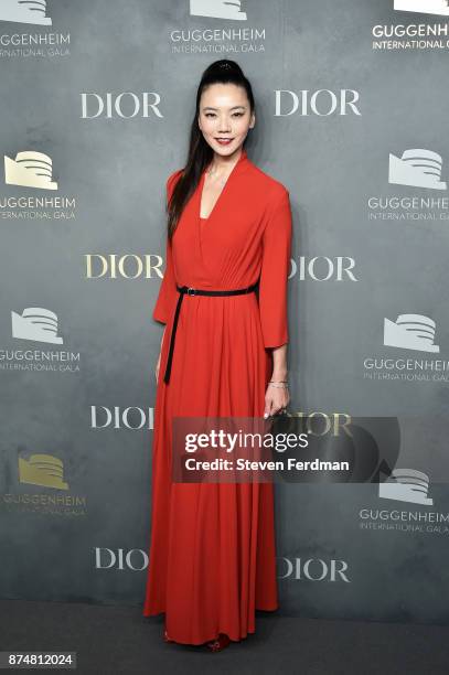 Guest attends the 2017 Guggenheim International Gala Pre-Party made possible by Dior on November 15, 2017 in New York City.