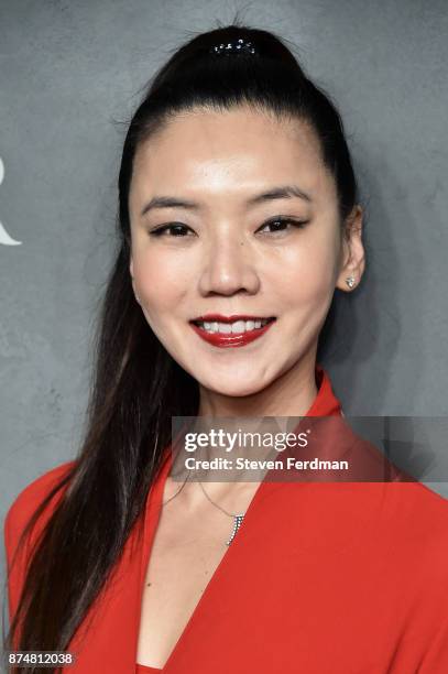 Guest attends the 2017 Guggenheim International Gala Pre-Party made possible by Dior on November 15, 2017 in New York City.
