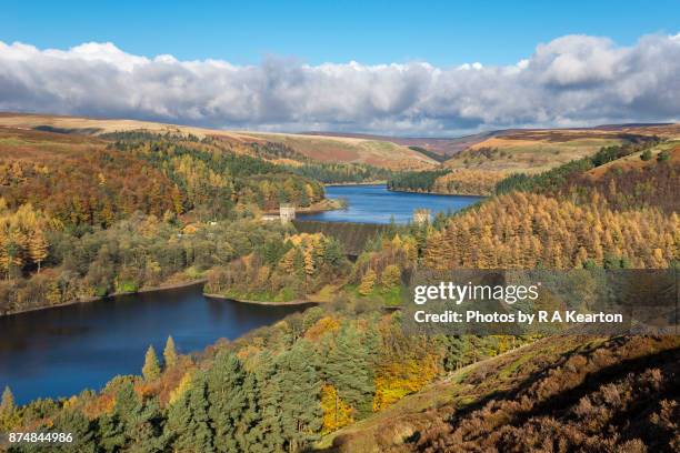 vivid autumn colour in the upper derwent valley, derbyshire, england - derwent reservoir stock pictures, royalty-free photos & images