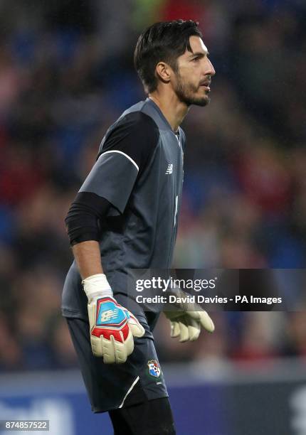 Panama's Jaime Penedo during the International Friendly match at the Cardiff City Stadium. PRESS ASSOCIATION Photo. Picture date: Tuesday November...