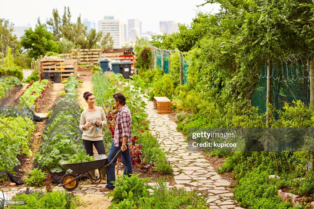 Es gibt immer Raum für Wachstum