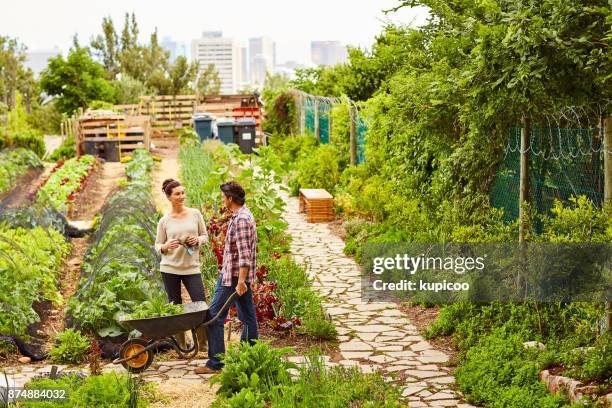 there's always room to grow - jardim na cidade imagens e fotografias de stock