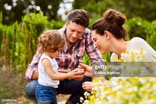 nurture their love for nature - family flowers stock pictures, royalty-free photos & images