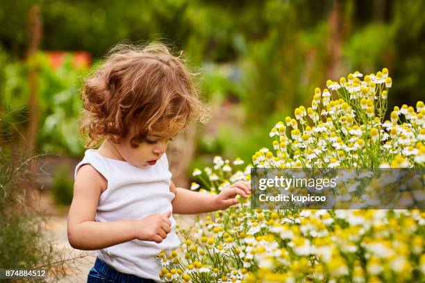 die natur ist ein lehrer - kind blume stock-fotos und bilder