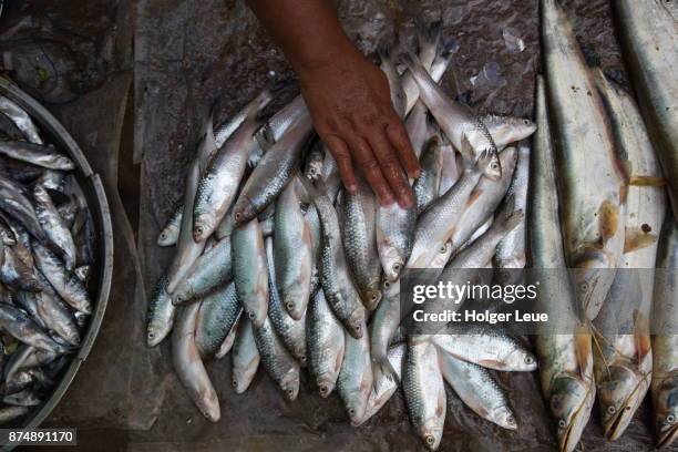 Katha Myanmar Photos and Premium High Res Pictures Getty Images