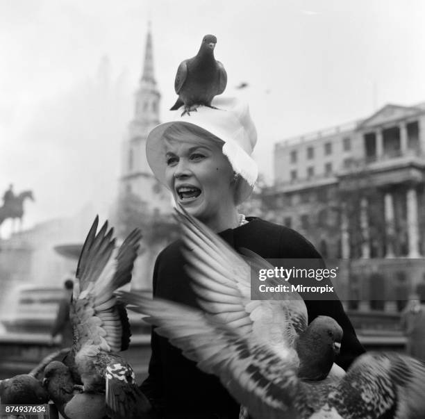 When 'pink' Dorothy Provine arrived in London today she wanted to see the town and do some rubber necking at the famous sights. The American actress...