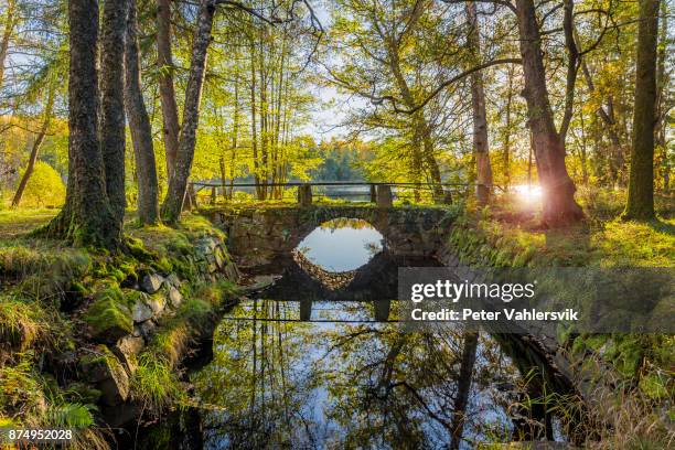 bridge, old stone bridge in autumn - wooden arch bridge stock pictures, royalty-free photos & images