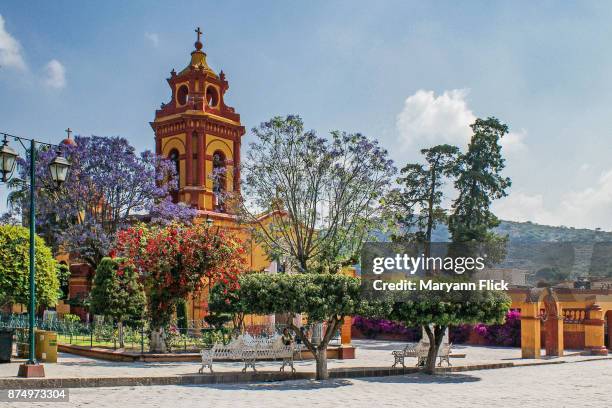 discovering mexico - ジャカランダの木 ストックフォトと画像