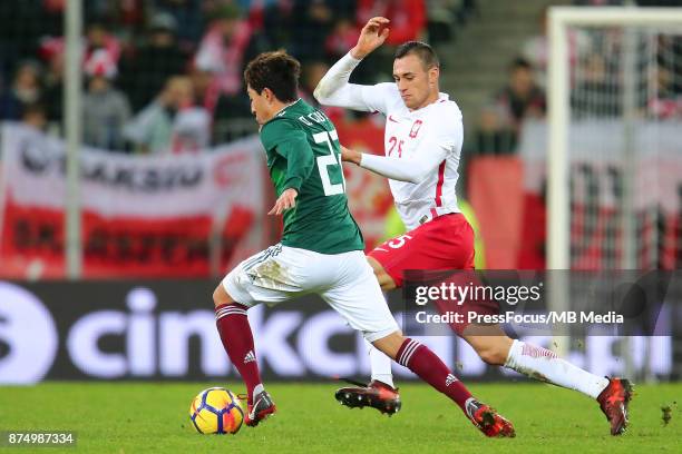 Jaroslaw Jach of Poland during the international friendly match between Poland and Mexico on November 13, 2017 in Gdansk, Poland.