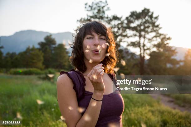 woman blowing dandelion flower - paardenbloem stockfoto's en -beelden