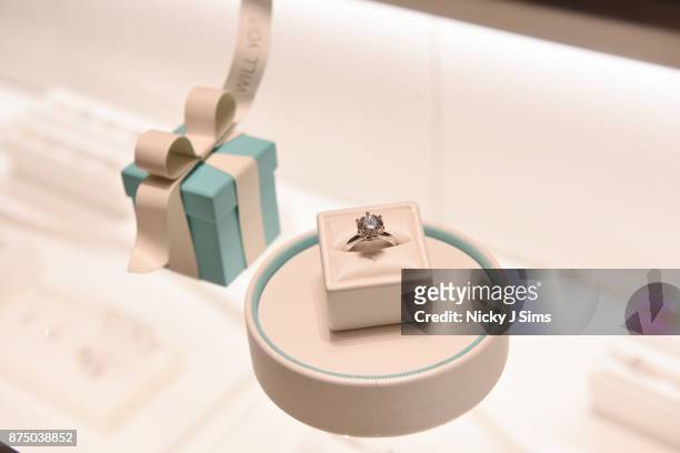 Alexa Chung unveils the Tiffany & Co. Boutique at Selfridges Birmingham at Selfridges on November 16, 2017 in Birmingham, England.