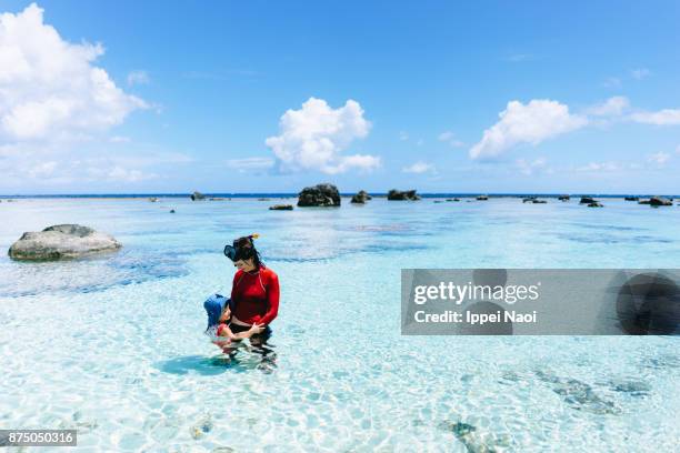 Aamami 936 Amami Island Stock Photos, High-Res Pictures, and Images - Getty Images