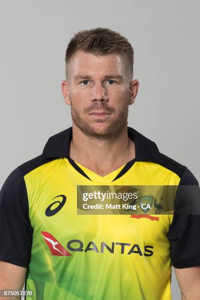 David Warner poses during the Australia Twenty20 Team Headshots Session at Intercontinental Double Bay on October 15, 2017 in Sydney, Australia.