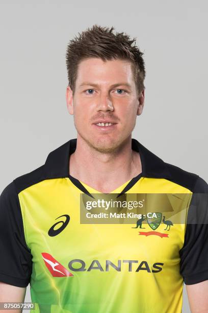 James Faulkner poses during the Australia Twenty20 Team Headshots Session at Intercontinental Double Bay on October 15, 2017 in Sydney, Australia.