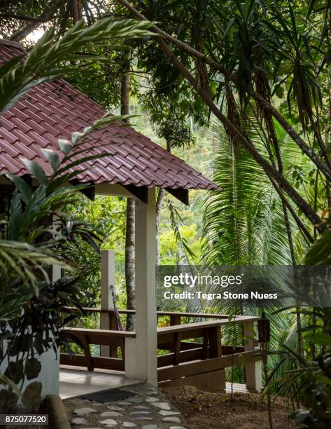 cabin in belizean jungle - belize stock pictures, royalty-free photos & images