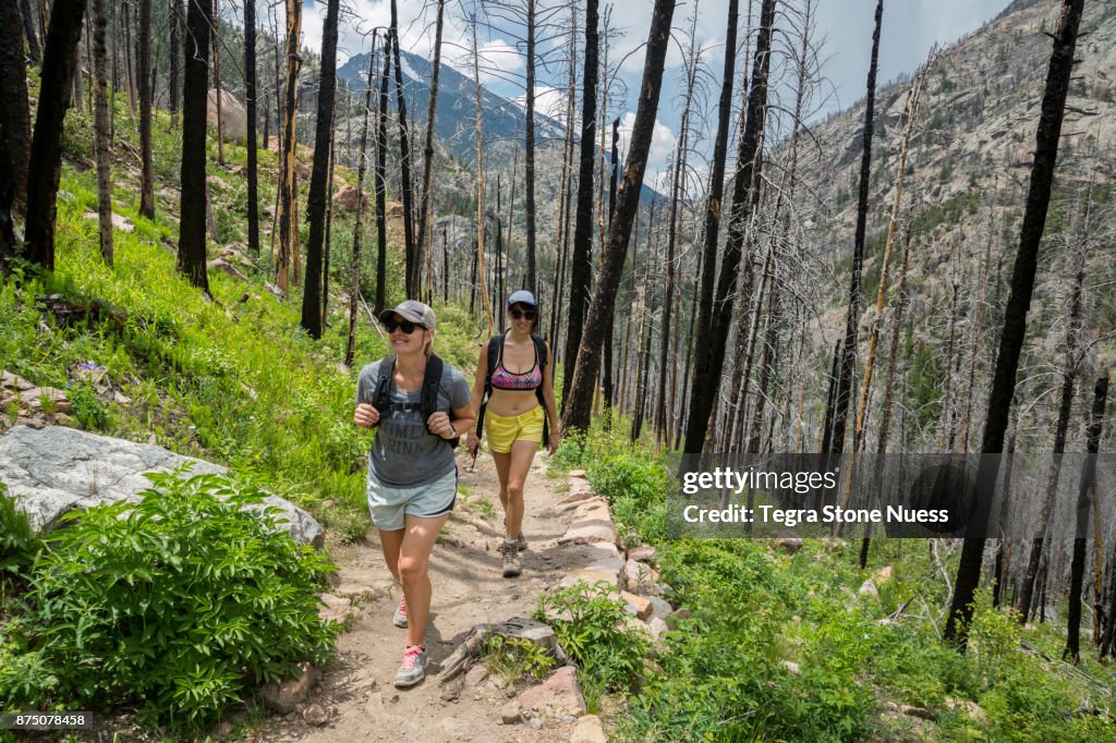 Women hiking in Colorado